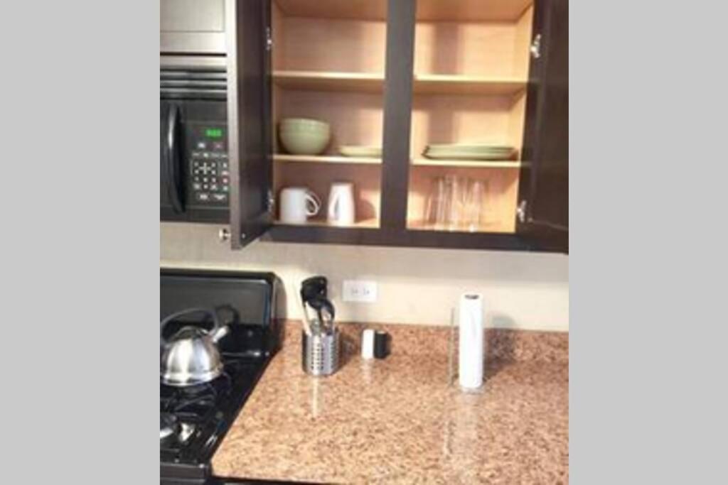 שיקגו Entire Modern 2 Bedroom Apartment מראה חיצוני תמונה